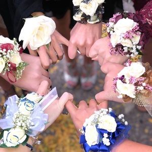 Meet your Posher, Madison